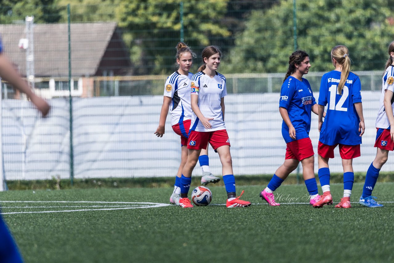 Bild 370 - wCJ Hamburger SV - FC Rosengarten : Ergebnis: 1:1
